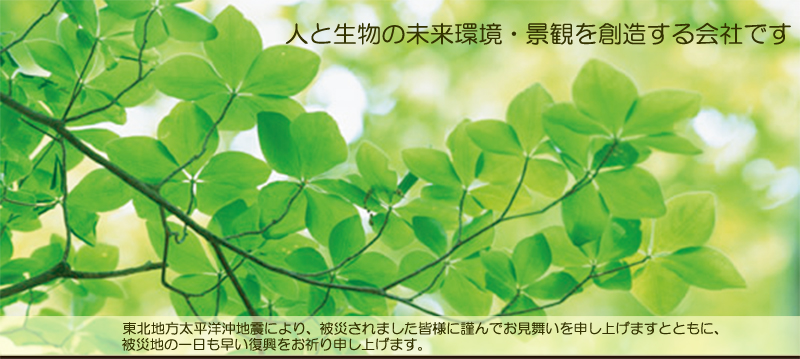 樹木の写真