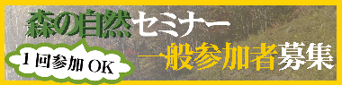 X̎RZ~i[ʎQҕW
