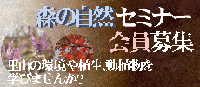 X̎RZ~i[W