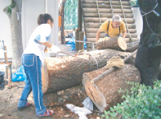 東京都　武蔵野の森公園