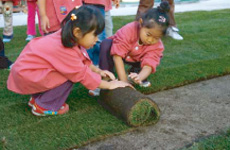 保育園・幼稚園園庭