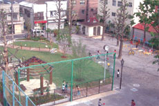 平成記念かざこし子どもの森公園