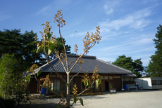 国営常陸海浜公園　みはらしの里